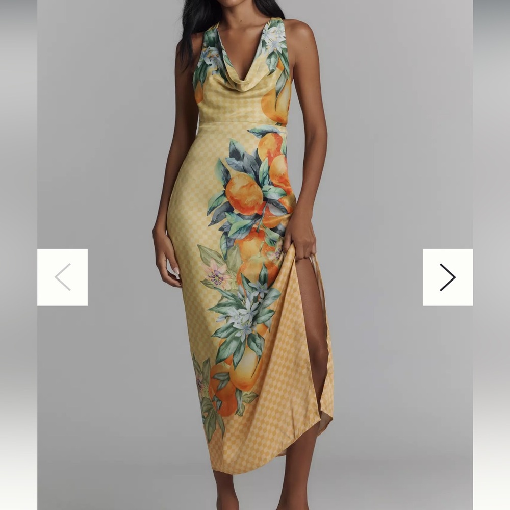 CONDITIONS APPLY ANNY SLEEVELESS COWL-NECK MAXI DRESS